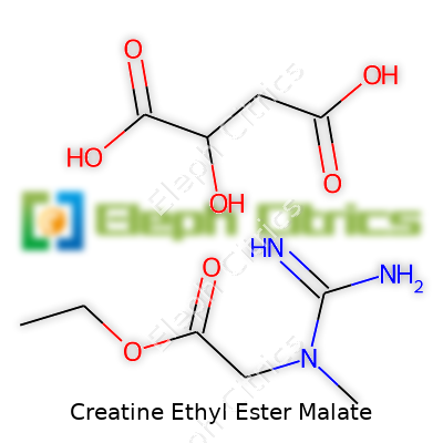 Creatine Ethyl Ester Malate
